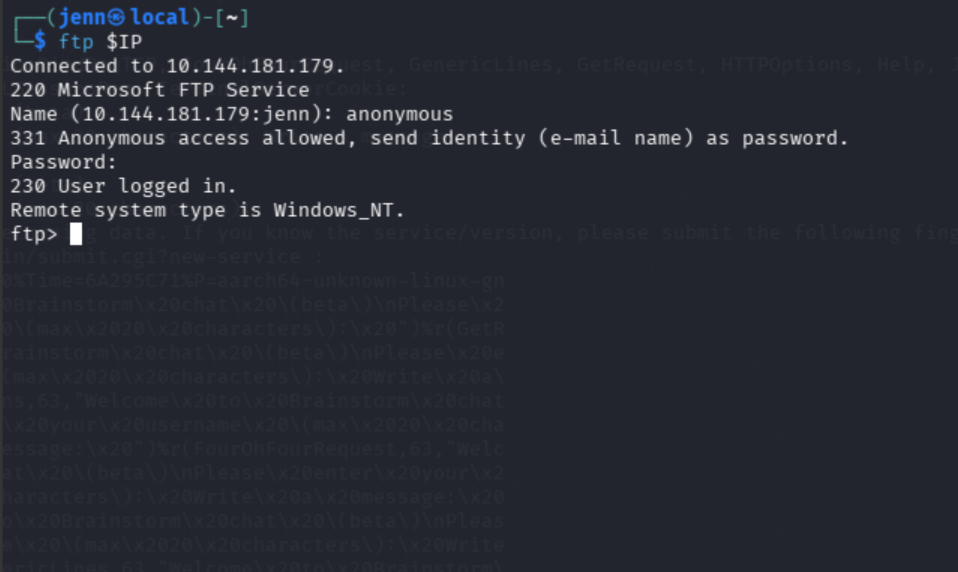 FTP connection established via anonymous login